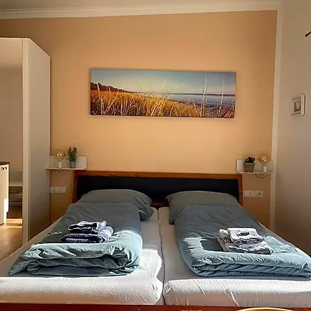 Silbermoewe